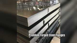 Placas de flange forjadas em aço inoxidável 316L de alta qualidade