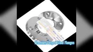 Flange de aço forjado de alta pressão com certificação ASME