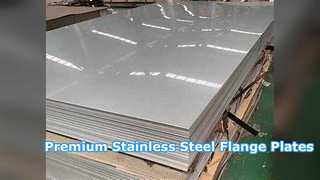 Placas de flange forjadas em aço inoxidável 316L premium