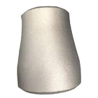 Carbon Steel Butt-Welding Reducer Pipe Fittings Astm B16.9 SCH 40 Equal Reducer