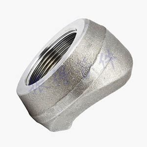 Forged Weld Fitting NPT/BSP Thread olet Carbon Steel Stainless Steel Pipes Applications Model Head