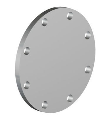 Stainless Steel Forged Hole Drilling Tube Sheet Flange Baffle Flange F304l Pipe Plate